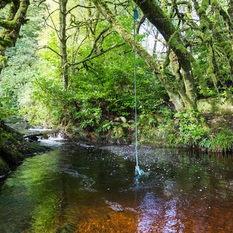 Summon your adventurous spirit with the rope swing hanging over the river