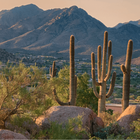 Explore Scottsdale easily from the home