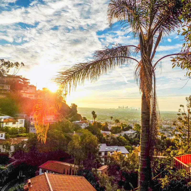 Explore the trendy area of West Hollywood, where the Sunset Strip plays host to comedy clubs and music venues
