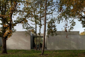 Truffle & Concrete image 7