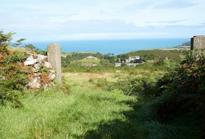 Valley Charm image 9