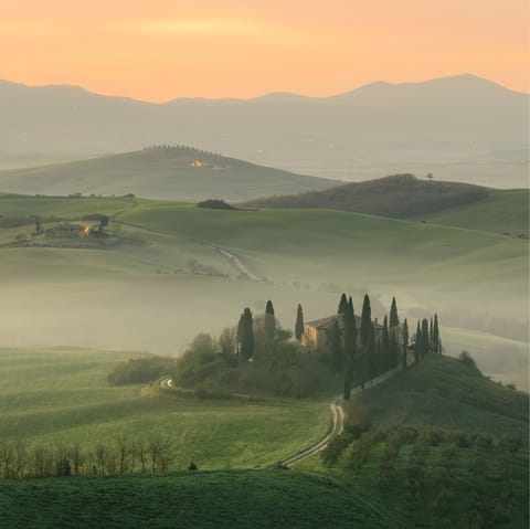 Explore the Tuscan countryside and the medieval town of Vinci 