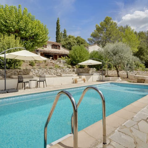 Swim and splash in your pristine private pool surrounded by olive trees and pines