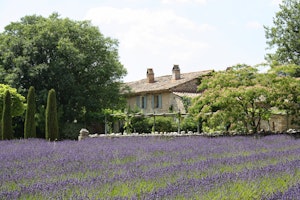 Provence Haven image 13
