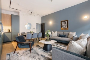 Central Comfort image 1