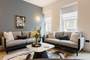 Central Comfort image 5