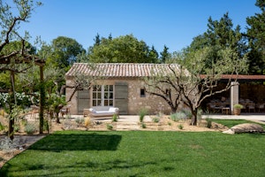 Graceful Vines image 11