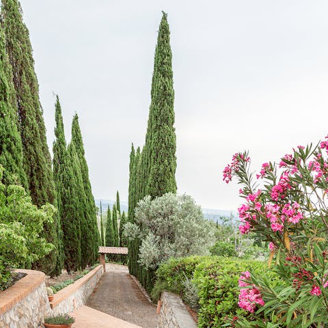 Roam through nearly 3 acres of gorgeous Tuscan gardens, including fruit and olive trees