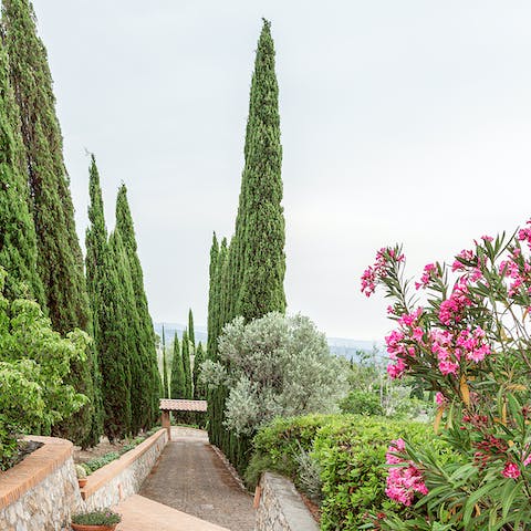 Roam through nearly 3 acres of gorgeous Tuscan gardens, including fruit and olive trees