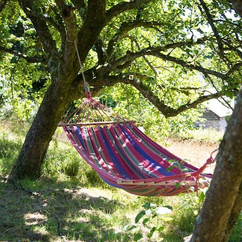 Have an afternoon doze in the hammock hanging in the orchard