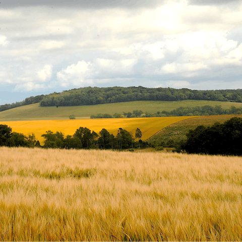 Go for a hike in the stunning South Downs National Park