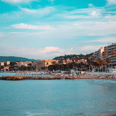 Check out the stunning beaches of Cannes, lined with beautiful palm trees