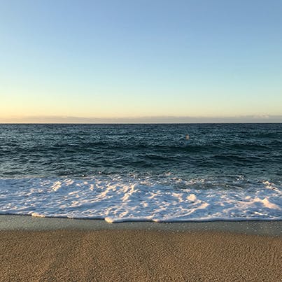 Take a drive to Marina di Bibbona beach for a day on the coast