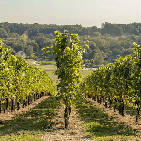 Head out of Grubbenvorst and explore the Limburg countryside