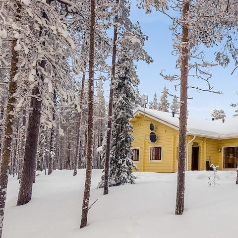 Enjoy the tranquil Lapland forest that surrounds you