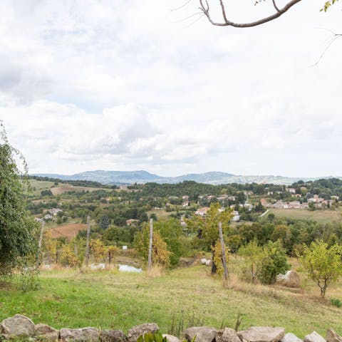Look out over the rolling Italian countryside from the garden
