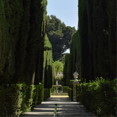 Stroll through the gardens of the Royal Alcázar of Seville