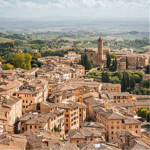 Drive into the bustling city of Arezzo for authentic cuisine and historical architecture