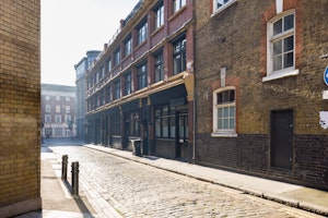 The Tonic image 12