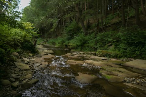 Wade in the babbling brooks that meander through the outdoor space