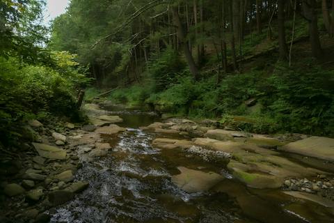 Wade in the babbling brooks that meander through the outdoor space