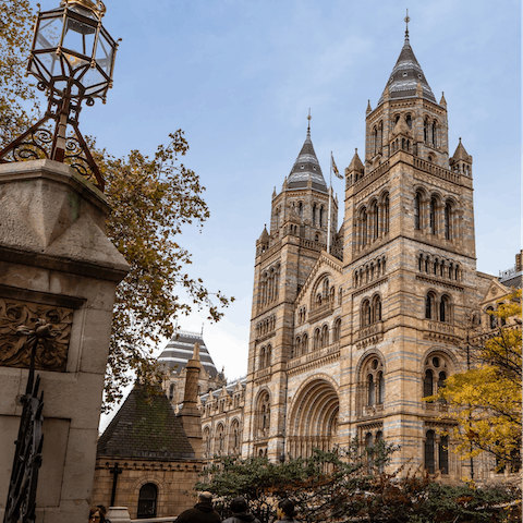 Get yourself to South Kensington and tour the landmarks