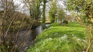 Run with the River image 8