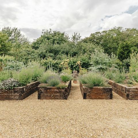 Gorgeous raised beds in the gardens