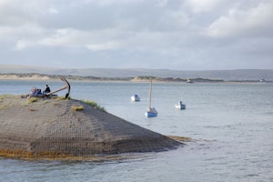 The Elegant Estuary image 6