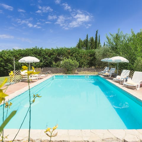 Refresh with a dip in the waters of the lovely swimming pool surrounded by foliage