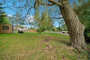 The Peaceful Locale image 14