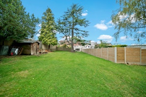 The Peaceful Locale image 5