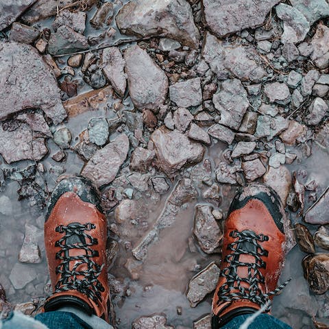 Go hiking or cycling along the nearby Mawddach Trail, great for all ages