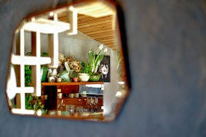 Hergest Lee image 5