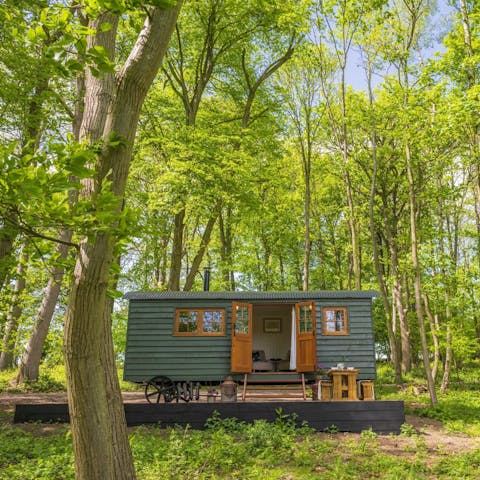 Immerse yourself in a rural setting where the trees are your neighbours