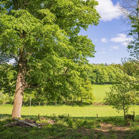 Go for a wander around the rolling hills outside of Henley-On-Thames
