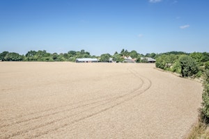 Frith Mead image 3
