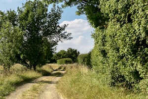Frith Mead image 2