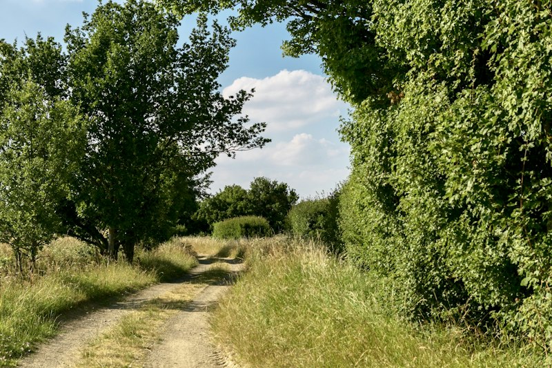 Frith Mead additional image
