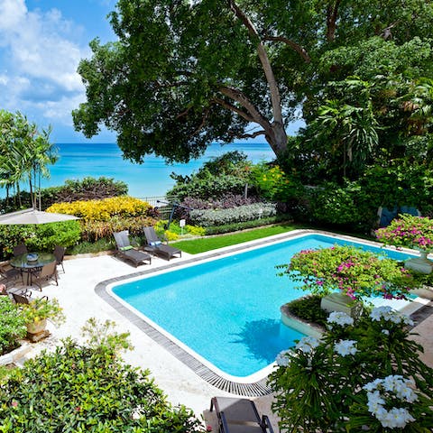 Relax poolside in the lush, tropical garden