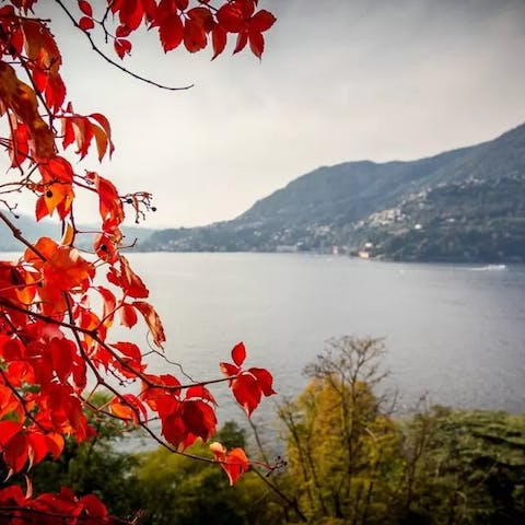 Take in stunning vistas of lake Como