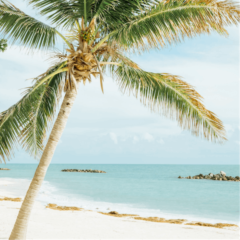 Sunbathe on the white sand beaches of Key West