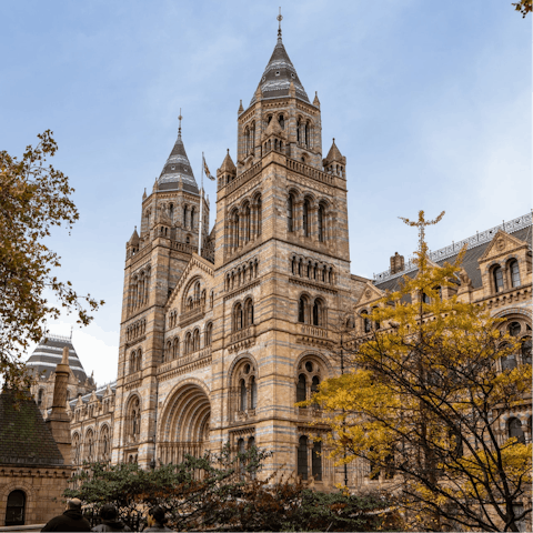 Spend an afternoon exploring South Kensington's museums – the Natural History Museum is a ten-minute walk away 