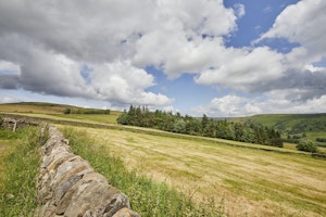 Middlesmoor Manor image 10