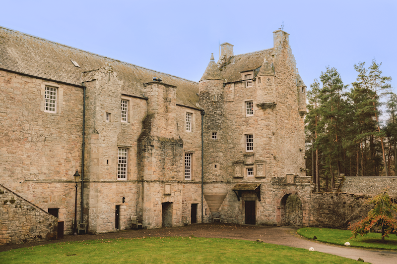 Fortress in the Ferns main image