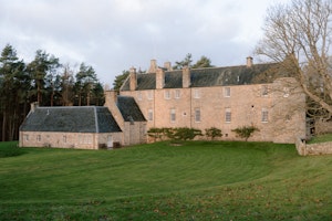 Fortress in the Ferns image 14