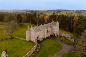 Fortress in the Ferns image 2