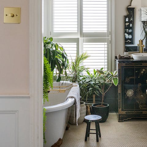 Enjoy a bath surrounded by house plants