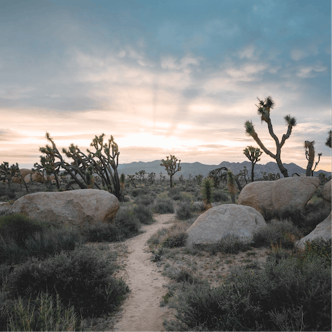 Lace up your hiking boots and explore your Yucca Valley surroundings