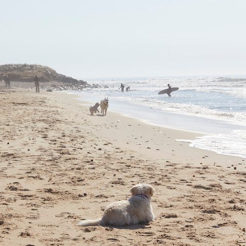 A few minutes' walk from the beach